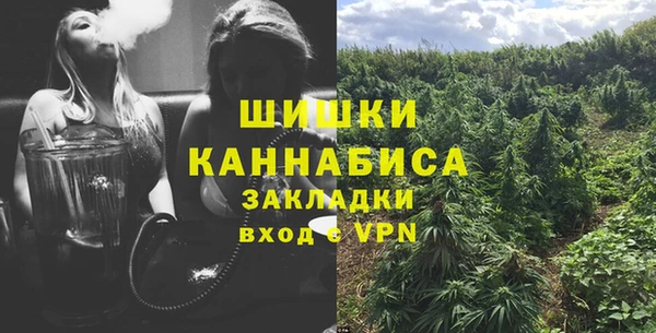 ешки Вязьма