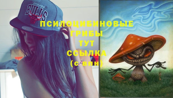 кокаин премиум Вяземский