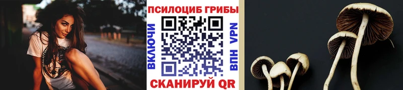 Галлюциногенные грибы прущие грибы mega ссылки Людиново цена наркотик