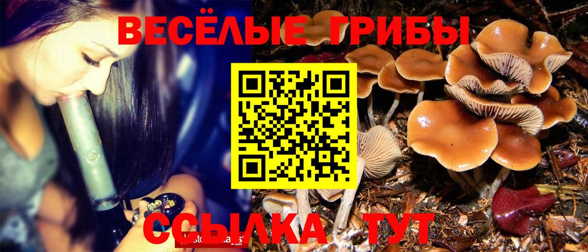 Галлюциногенные грибы GOLDEN TEACHER  Вход с VPN  Людиново  Галлюциногенные грибы Psilocybine cubensis 