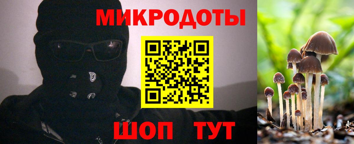 Галлюциногенные грибы прущие грибы Людиново